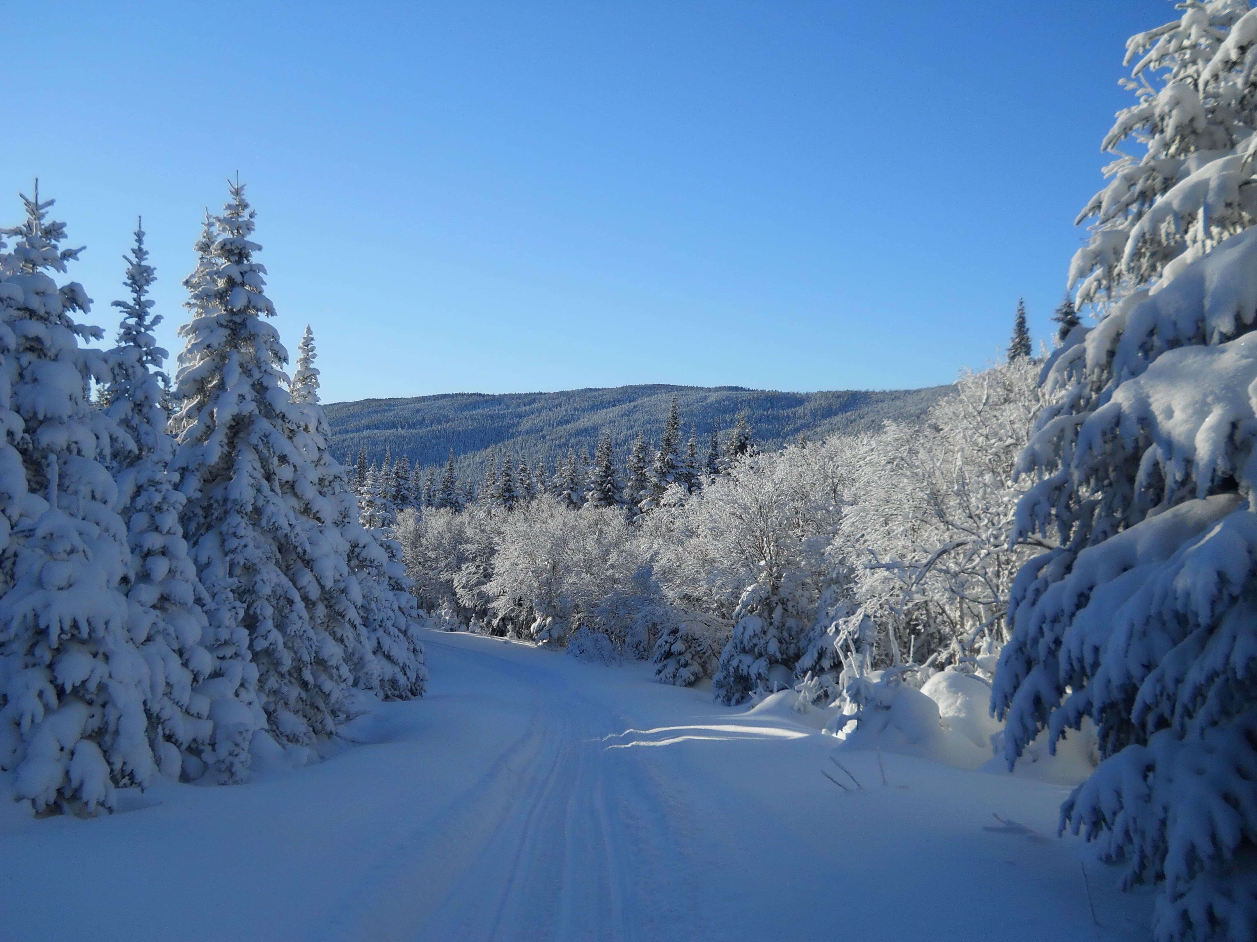 Acc S Aux Chemins Forestiers Durant Lhiver